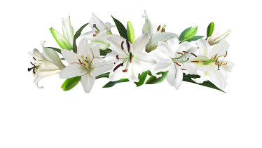 angelique-logo